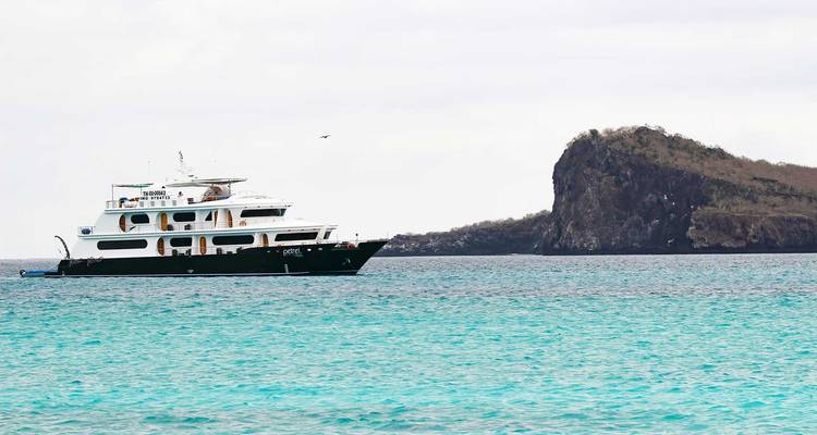 Guide Galapagos Luxury Cruise 9 Days Tour - GUIDEcuador Travel 8