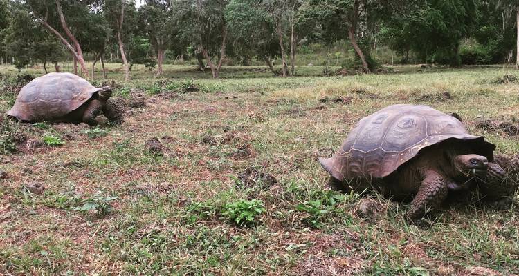 Circuito Galápagos Definitivo 6 Días - GUIDEcuador Travel 8