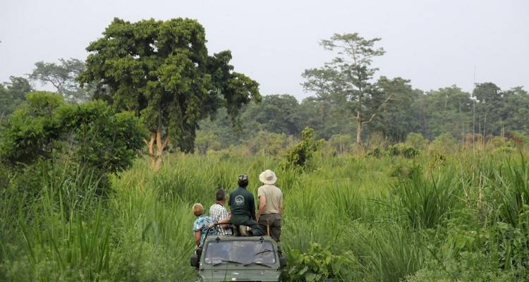 People on a safari jeep in a dense jungle.