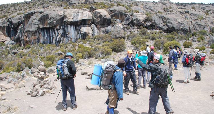 Rutas del Kilimanjaro, 7 días Ruta Lemosho - Exodus African Safari 2