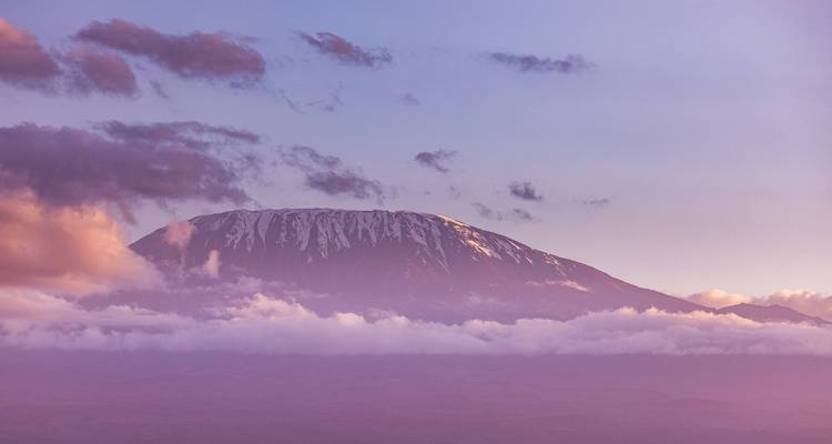 Ascension du Kilimandjaro, 8 jours sur la route de Lemosho - Exodus African Safari 7