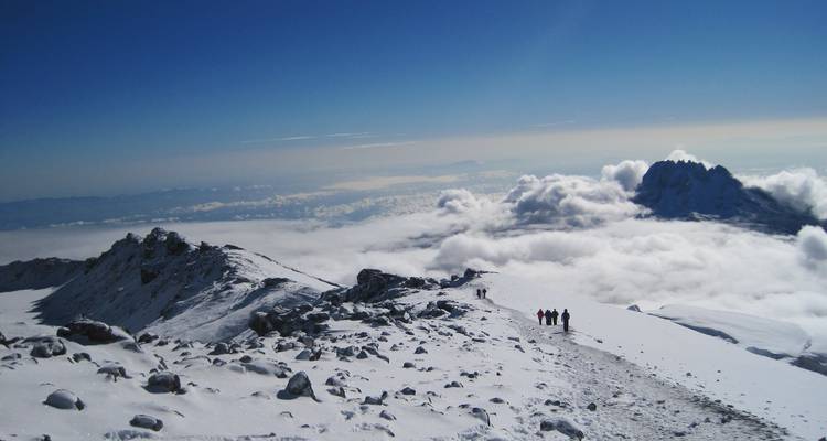 Ascension du Kilimandjaro, 8 jours sur la route de Lemosho - Exodus African Safari 8