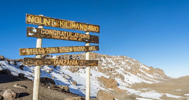 Ascension du Kilimandjaro, 8 jours sur la route de Lemosho - Exodus African Safari 9
