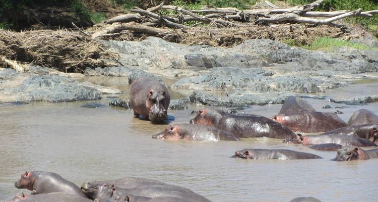 Uganda Gorilla Tours - Lakato Safaris 9