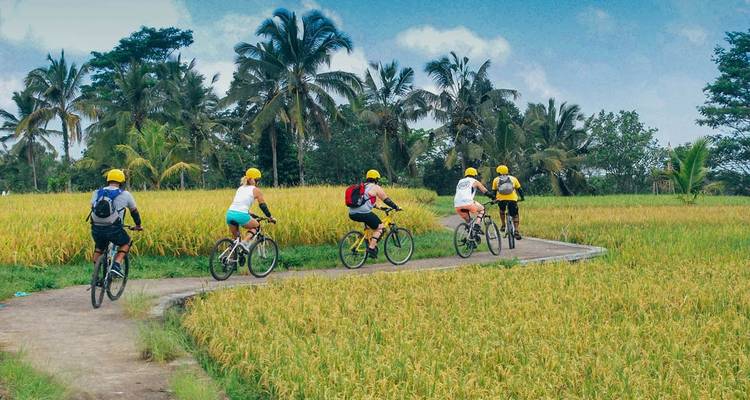 7-Day Bali Instagram Tour - Adventure Archipelago 2