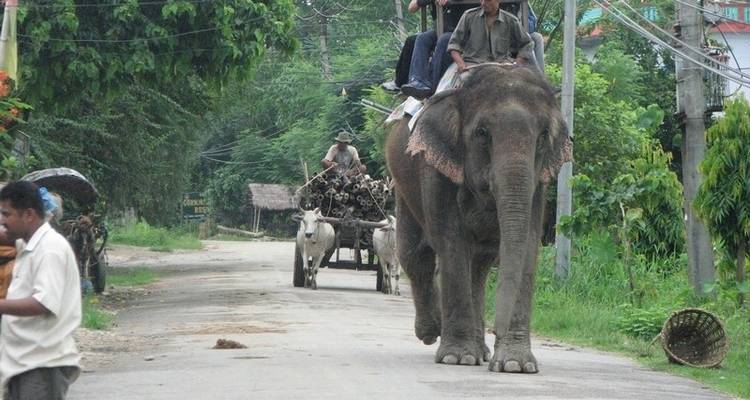 A Taste of Nepal Adventure - Nepal Nomad Trekking Pvt. Ltd. 10