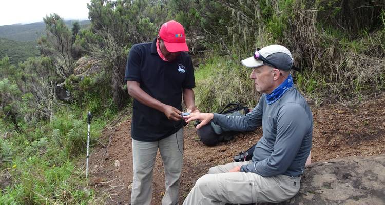 9 días de Excursionismo por el Kilimanjaro en la Ruta Lemosho - Keys Tours 4