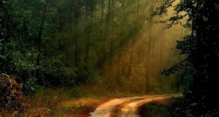 Tigre et contes : Delhi | Kanha | Bandhavgarh | Khajuraho | Orchha - MTA Destination Management Company 1