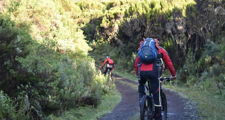 Mountain Biking Mount Kilimanjaro 8 days (all Accommodation & Transport are included) - Click Expeditions 4