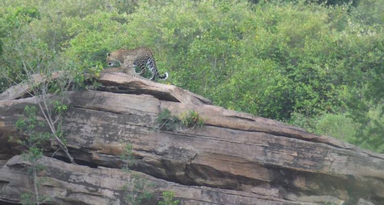 Safari de 3 días a Maasai Mara - All Time Safaris Ltd 4