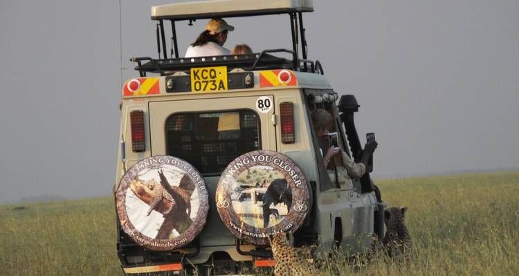 Safari de 3 días a Maasai Mara - All Time Safaris Ltd 7