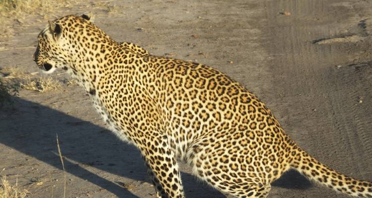 Safari de 3 días a Maasai Mara - All Time Safaris Ltd 8