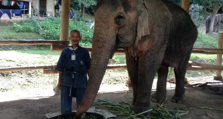 20+ points forts Chiang mai Voyage d'agrément et activité - LJ Biz 10