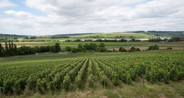 Champagne Paris » Epernay, Bike & Barge in France - Feniks Charter 1