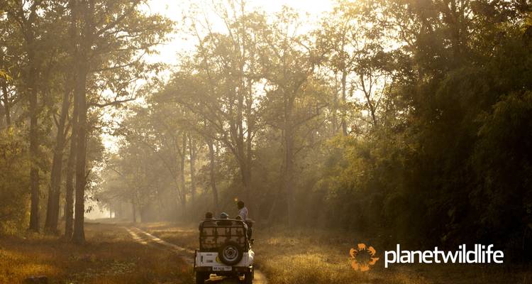 Central India's Wildlife & Safari Tour - Planet Wildlife 3