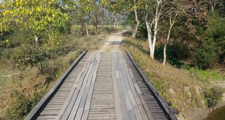 North East India's Wildlife & Safari Tour - Planet Wildlife 6
