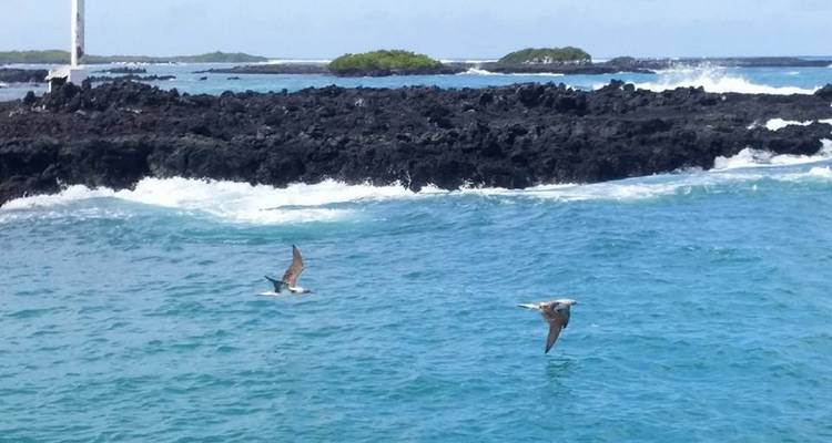 Aventure sur les îles Galápagos - Latin Adventures 4