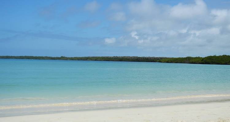 Aventure sur les îles Galápagos - Latin Adventures 8