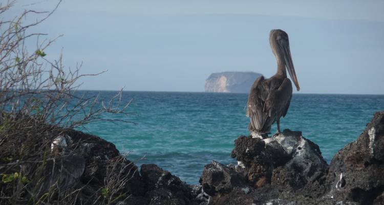Galapagos Encounter - Archipel I (Itinerary D) - Exodus Adventure Travels 2