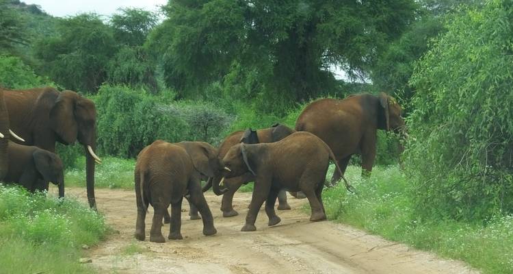 Safari de 5 días al lago Nakuru Mara - All Time Safaris Ltd 9