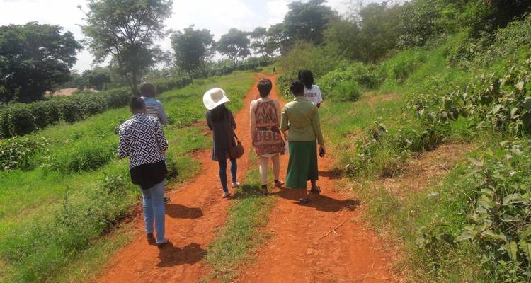 Gruppe von Menschen, die auf einem Erdweg durch Grünflächen gehen.