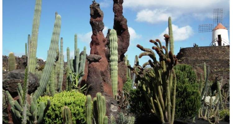 Lanzarote, terre des volcans, visite libre - IberoCycle Tours 8
