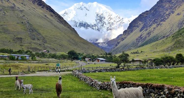 Senderismo clásico de 5 días por Salkantay - Latin Adventures 3