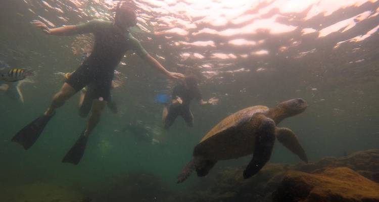 Voyage de 8 jours : Le meilleur de Quito et des îles Galápagos - Latin Adventures 7