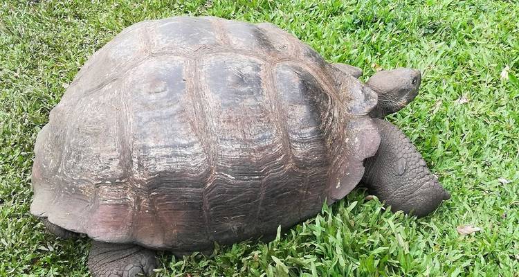 Voyage de 8 jours : Le meilleur de Quito et des îles Galápagos - Latin Adventures 4