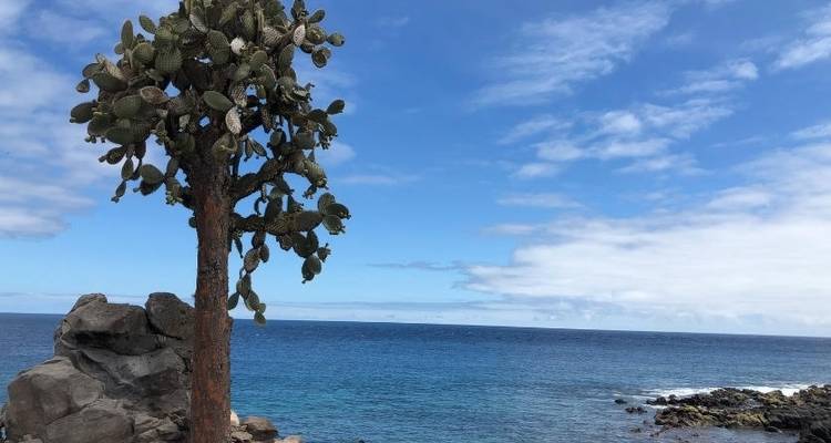 Voyage de 8 jours : Le meilleur de Quito et des îles Galápagos - Latin Adventures 8
