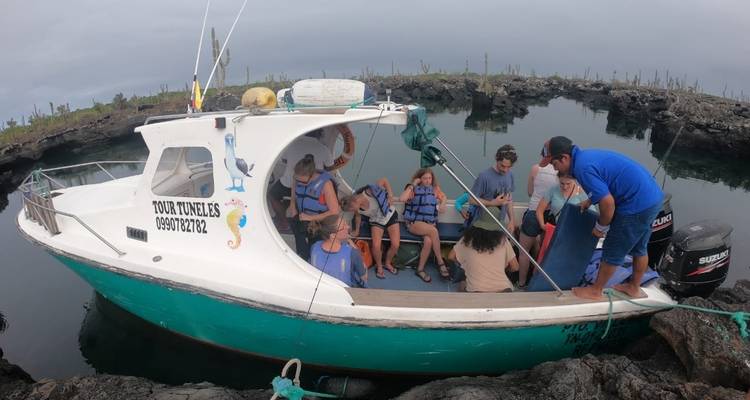 Voyage de 8 jours : Le meilleur de Quito et des îles Galápagos - Latin Adventures 9