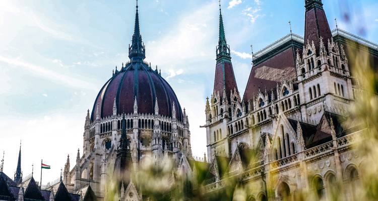 Close-up van de koepels en torenspitsen van het Hongaarse Parlement, gedeeltelijk omlijst door groen.