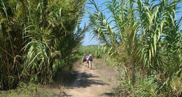 Walk&Rail in Salento 2020 - Salento Bici Tour 3