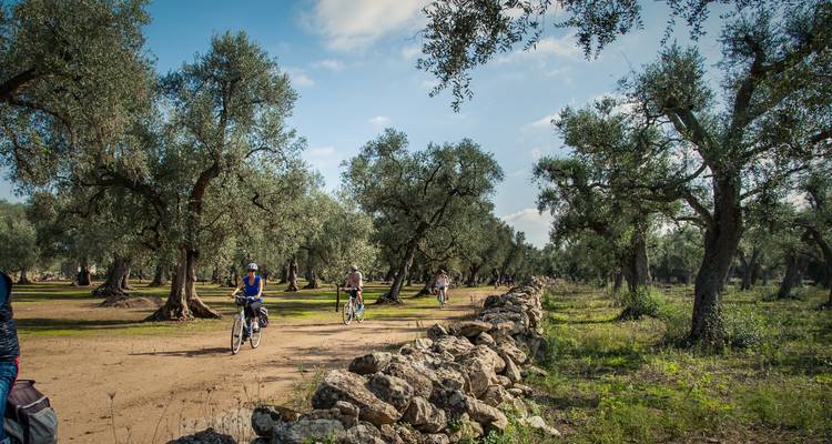 Recorrido autoguiado 2020 - Salento Bici Tour 4