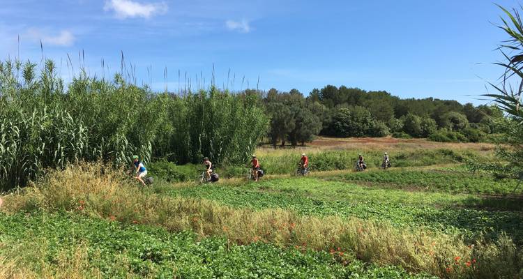Recorrido autoguiado 2020 - Salento Bici Tour 1