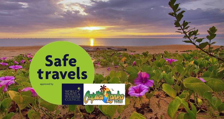 Depth Touch Of Sri Lanka - Capital Lanka Tours 3