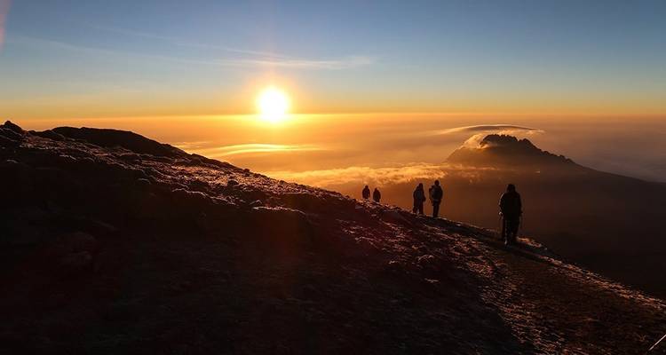 Ruta Lemosho Excursionismo Kilimanjaro - 9 días - Tanzania Horizon Safaris 10