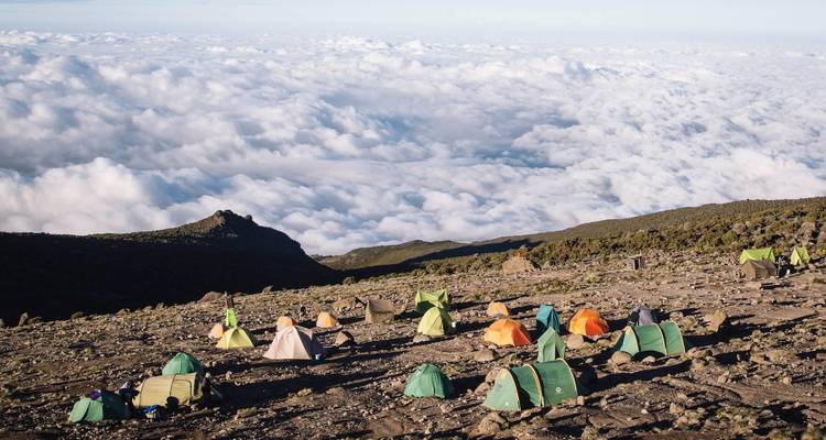 Ruta Lemosho Excursionismo Kilimanjaro - 9 días - Tanzania Horizon Safaris 9