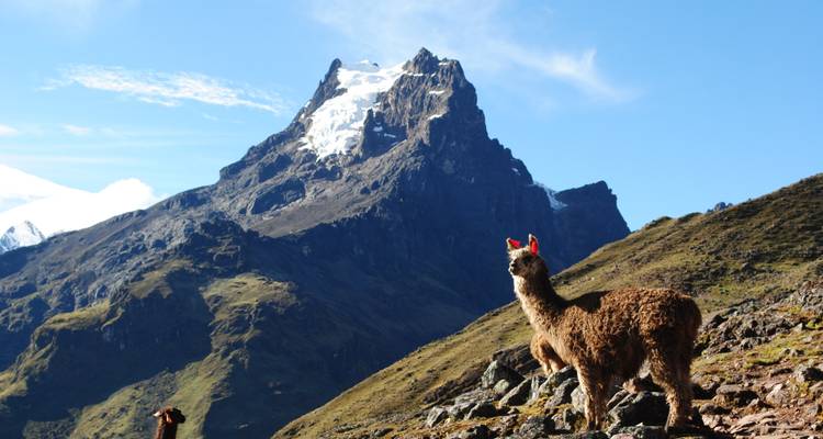 Ultimate Lares Trek 4 Days to Machu Picchu - Andean Path Travel 7