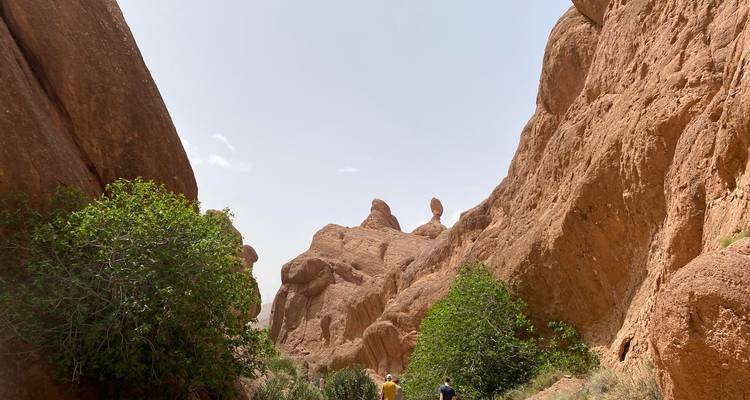 Voyage de 5 jours : Expérience de plein air amusante au Sahara - TouaregTrails 4