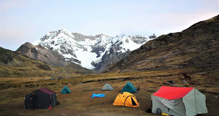 Een camping met kleurrijke tenten tegen de achtergrond van besneeuwde bergen.