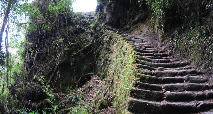 Private Inca Trail Tour 4 Days/ families or couples - Andean Path Travel 8