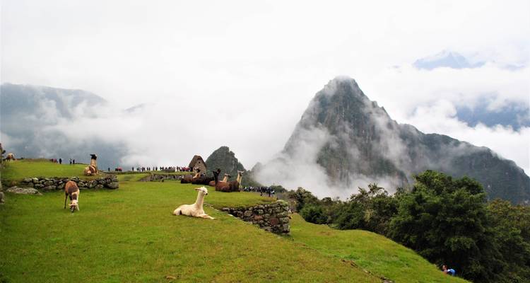 Camino Inca corto a Machu Picchu con hotel 2 días - Andean Path Travel 3