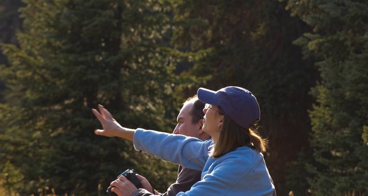 Excursión por la vida salvaje de orcas y osos grizzlies - Midnight Sun Adventure Travel 6