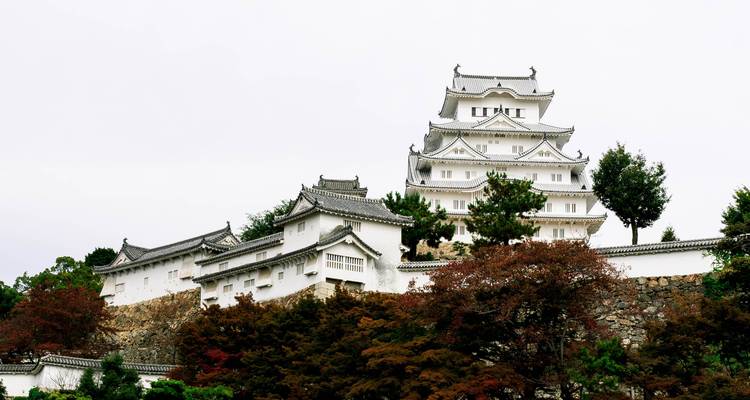 Delicias de Japón con Hiroshima(habitaciones privadas de hotel de 3 estrellas) - Stunning Tours 7