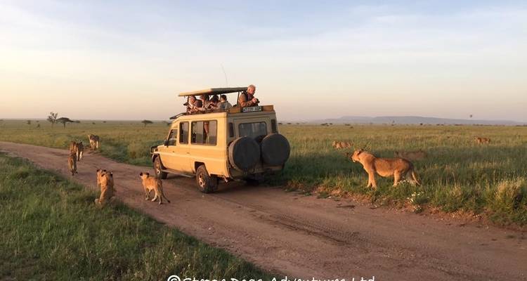 7 Days Tanzania Camping Safari - Kiriwe Travel And Trekking Safaris Ltd 2
