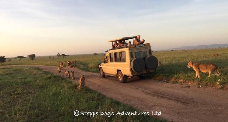 7 Days Tanzania Camping Safari - Kiriwe Travel And Trekking Safaris Ltd 7