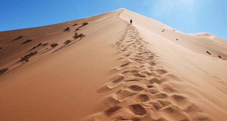 Circuit de 6 jours de Casablanca à Marrakech via Fès et le désert - Guided Morocco Tours 8
