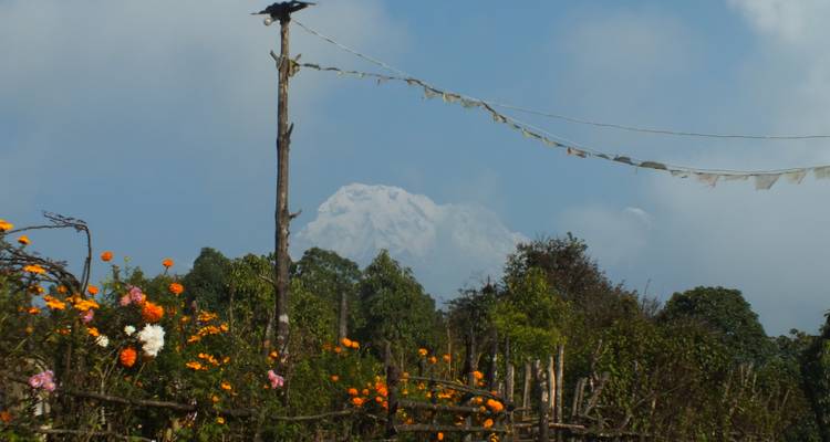 Camp de base de l'Annapurna - Travel Corporation Nepal 9