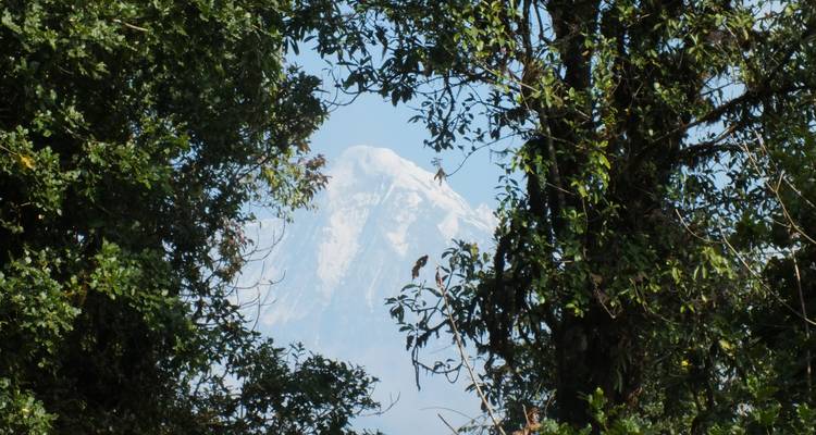 Camp de base de l'Annapurna - Travel Corporation Nepal 8
